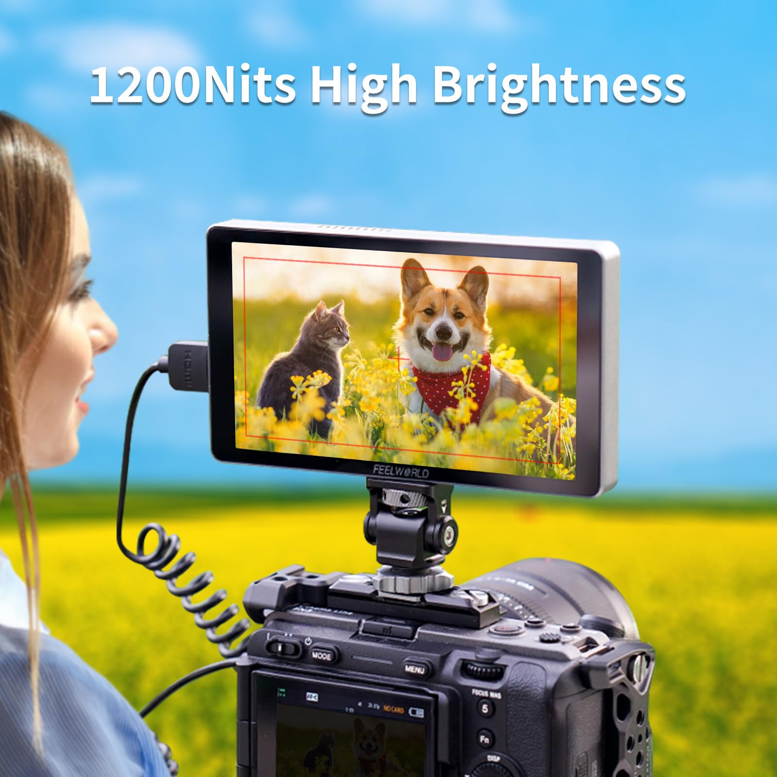 FEELWORLD LUT6 6インチフィールドモニターとバッテリーとその充電器